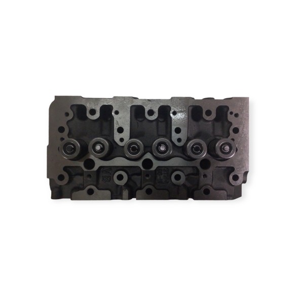 Cylinder head 3TNV84 With valves