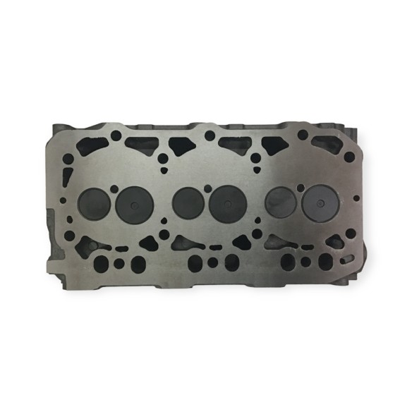 Cylinder head 3TNE84 With valves