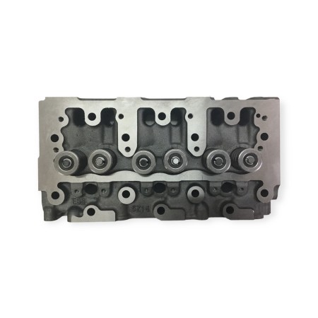 Cylinder head 3TNE84 With valves