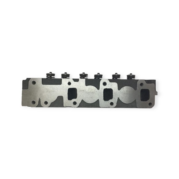 Cylinder head with valves 3TNV76 direct injection