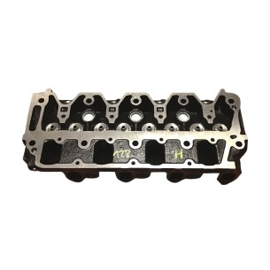 Cylinder head Lombardini LDW 2004