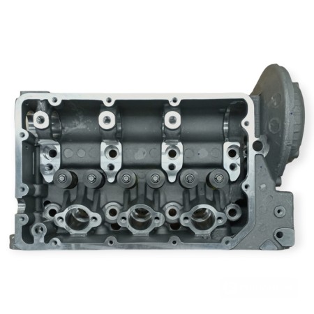 Cylinder head with Lombardini LDW 1003 valves
