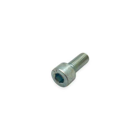 Bolt m 8 x 20 Lombardini ED0097320740-S