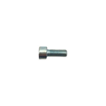 Screw m 8 x 20 Lombardini ED0097320740-S