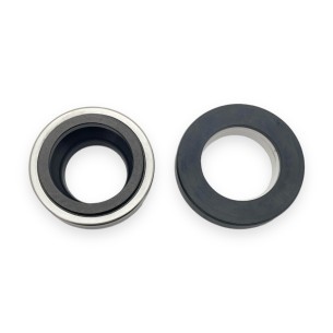 Gleitringdichtung für HMT 50/23-, 100R- und 100RE-Pumpen