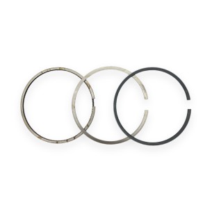 Conjunto de segmentos +1,00 Lombardini LDW 2004/T e LDW 2204/T