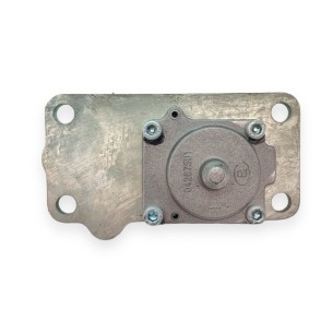 Amortiguador compesador revoluciones Hatz L y M