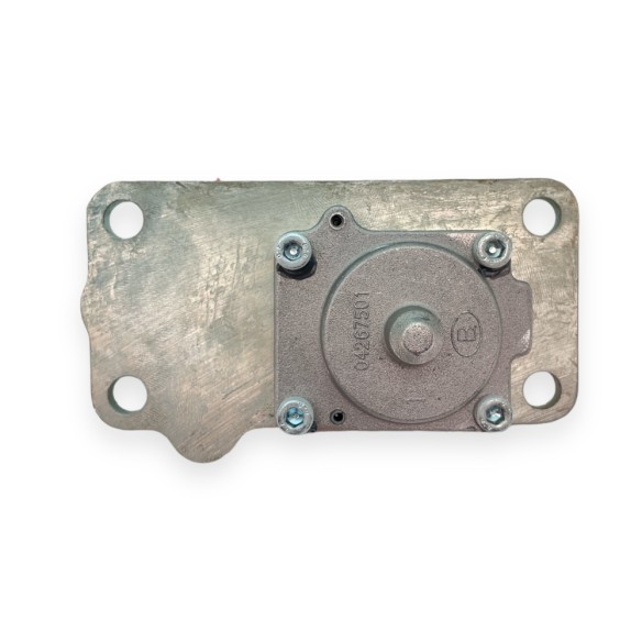 Amortecedor compensador de revolução Hatz L e M