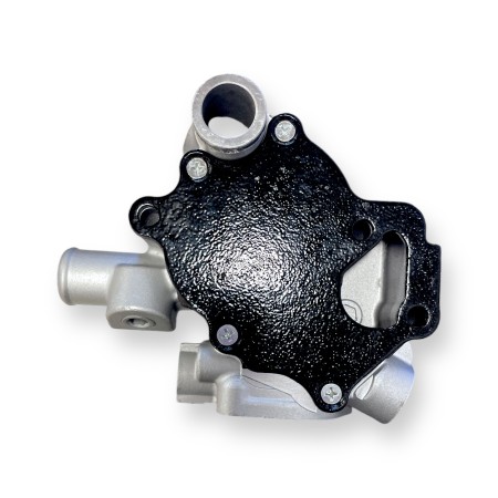 Bomba de água Yanmar 3TNV76