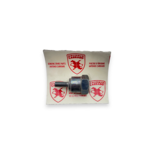 Carrarino clutch primary holder bolt series 43 - Liquidation