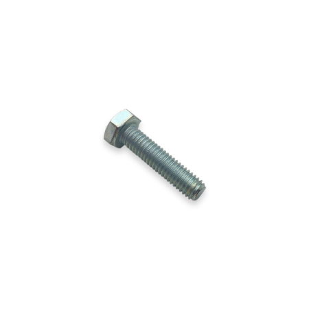 Screw te m 6 x 25 uni 5739