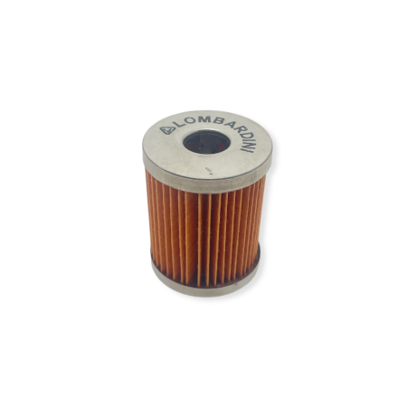 Lombardini diesel filter...