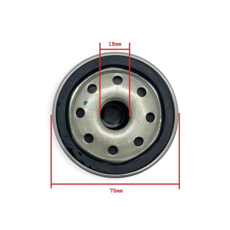 Kohler KDI M and Lombardini LDW CHD oil filter