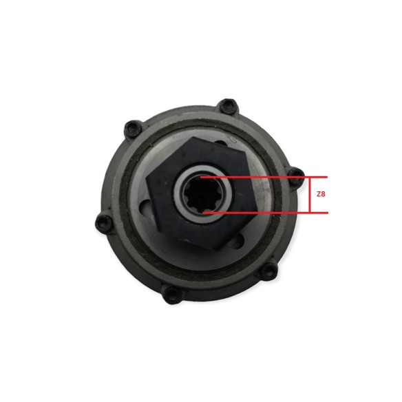 Embrayage motorisé Lombardini BCS, benassi, bertolini, eurosystem