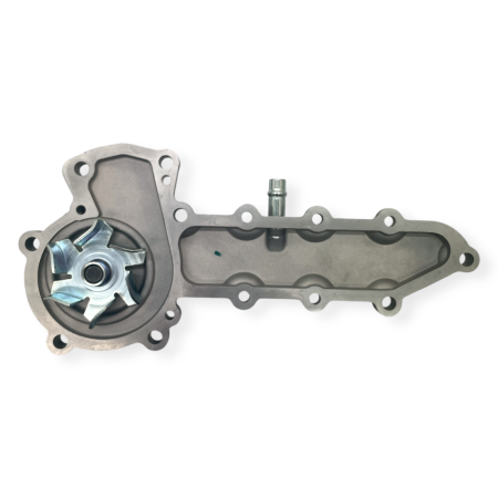 Raywin 4D24T water pump