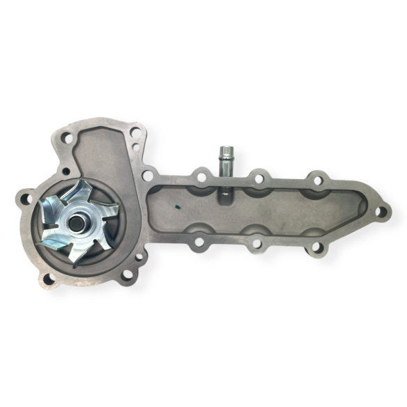 Raywin 4D24T water pump