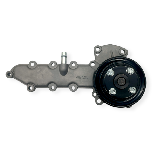 Raywin 4D24T water pump