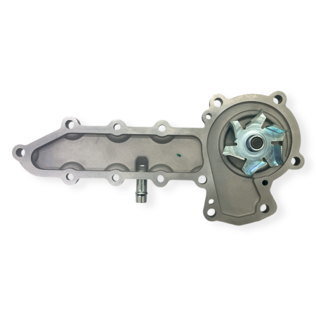 Raywin 4D24T water pump