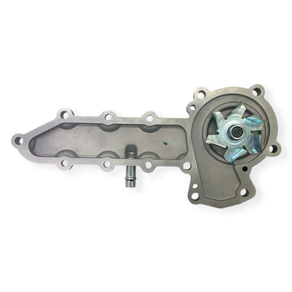 Raywin 4D24T water pump