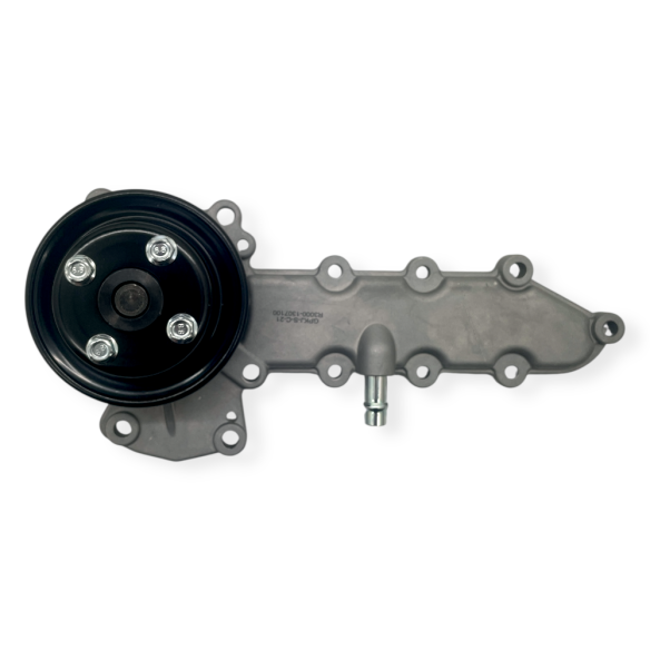 Raywin 4D24T water pump