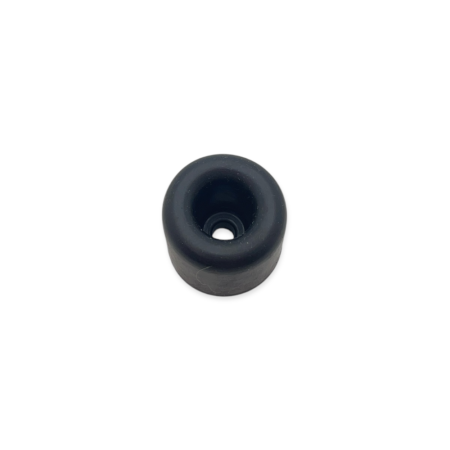 Skullcap
