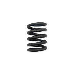 Seat spring