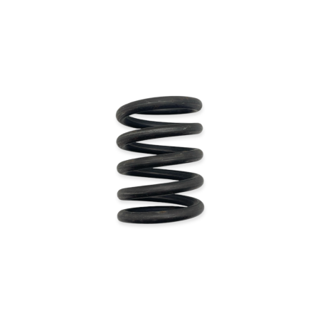 Seat spring
