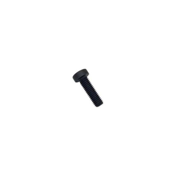TCEI screw M8x25 DIN7984