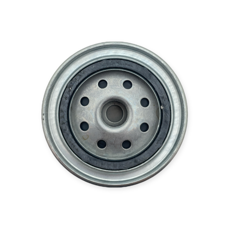 Oil filter VM Motori D704, HR494