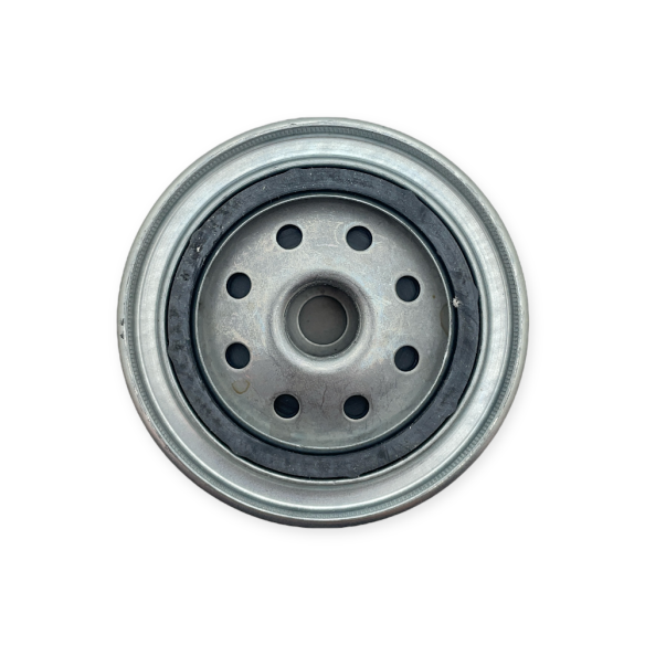 Oil filter VM Motori D704, HR494