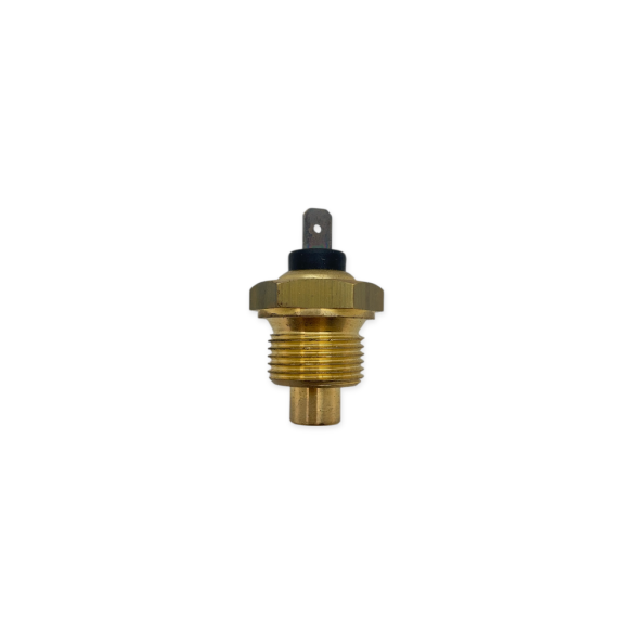 WM Motori temperature sensor
