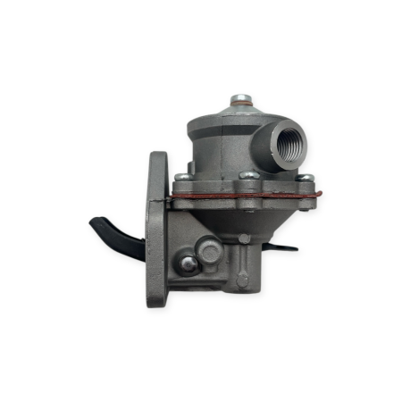 Bombin de alimentacion Diter D302