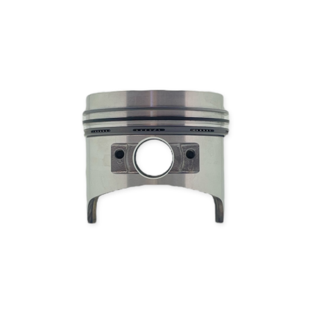 Pistão com anéis 0,25 Yanmar L48