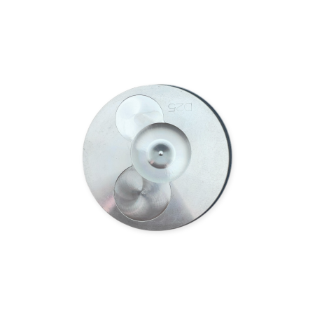 Kolben mit Ringen 0,25 Yanmar L48