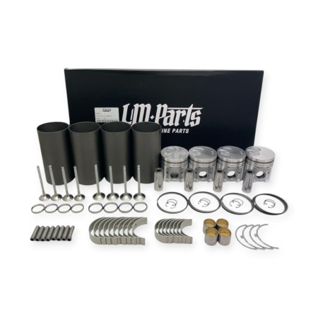 Yanmar Thermoking TK486V reconditioning kit