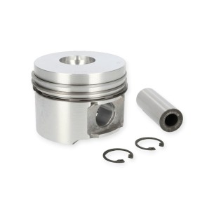 Piston Std Hatz 1D41.18