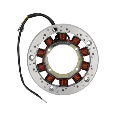 Hatz 1B20 1B30 12V 200W Lichtmaschine