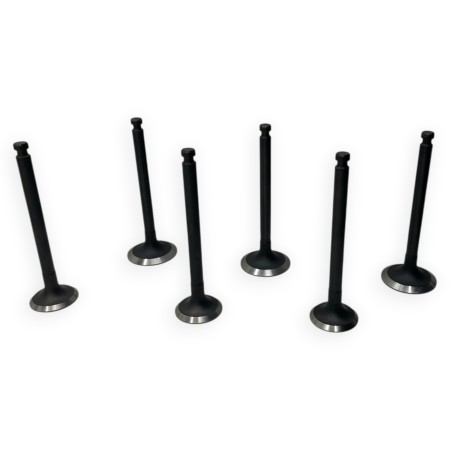 Kit reacondicionamiento Yanmar 3TNE74 (Piston cabeza plana)