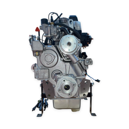 Motor LDW1603 Agricola