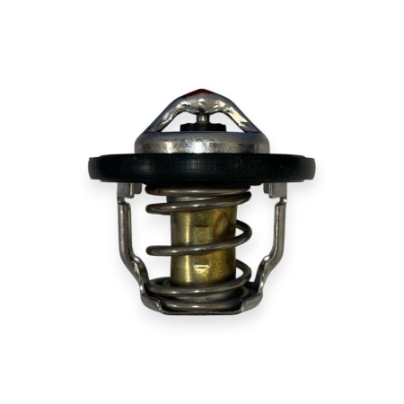 Termostato Yanmmar 3TNV76 82º