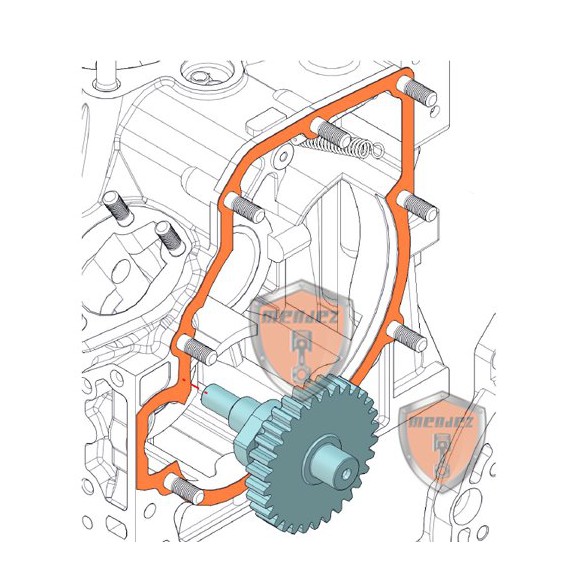 Roda dentada da came de injeção Minsel M380, M430, M540, M600, RUGGERINI RF80, RF90, RF100, RF120, RF140