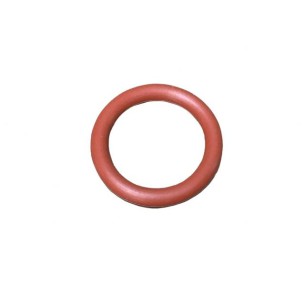 LOMBARDINI O-RING GUMMI 1200186