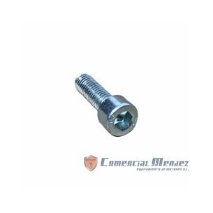 SCREW M 6 X 20 LOMBARDINI ED0097300120-S