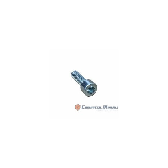SCREW M 6 X 20 LOMBARDINI ED0097300120-S