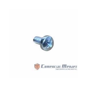 SCHRAUBE M 5 X 10 LOMBARDINI ED0097900280-S