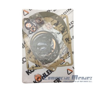 JUEGO JUNTAS COMPLETO MINSEL RUGGERINI RF90/RF120/M540