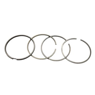 Jeu de segments Ruggerini RD92-2 std