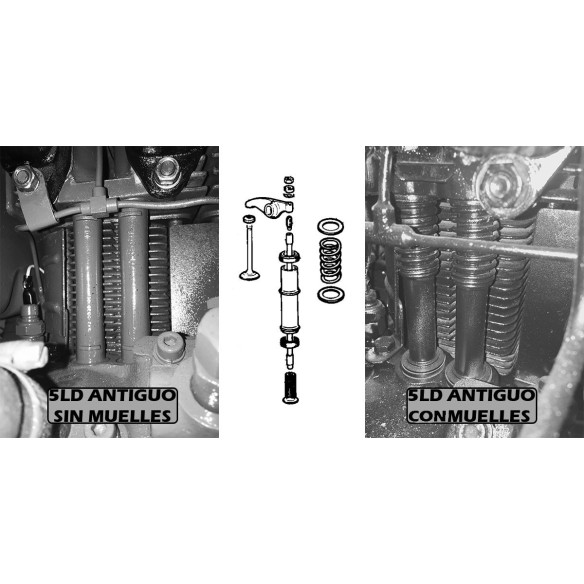 EQUIPO MOTOR LOMBARDINI 5LD 825 FALDA DE 110mm VARILLAS WITH MUELLES