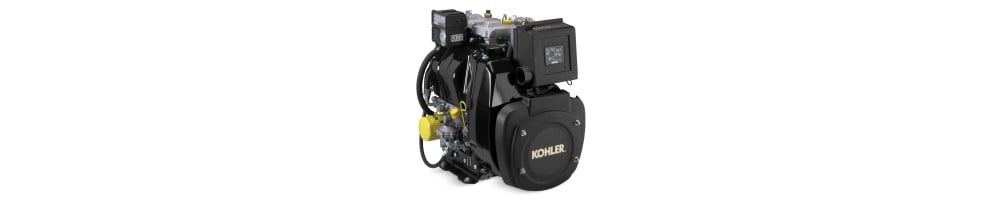 Peças sobressalentes para motores Kohler KD 425/2 | Comercial Mendez